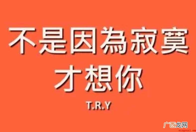 不是因为寂寞才想你歌词是什么 《不是因为寂寞才想你》歌词是什么