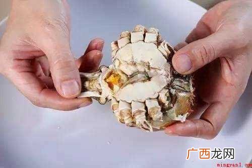 怎样吃大闸蟹