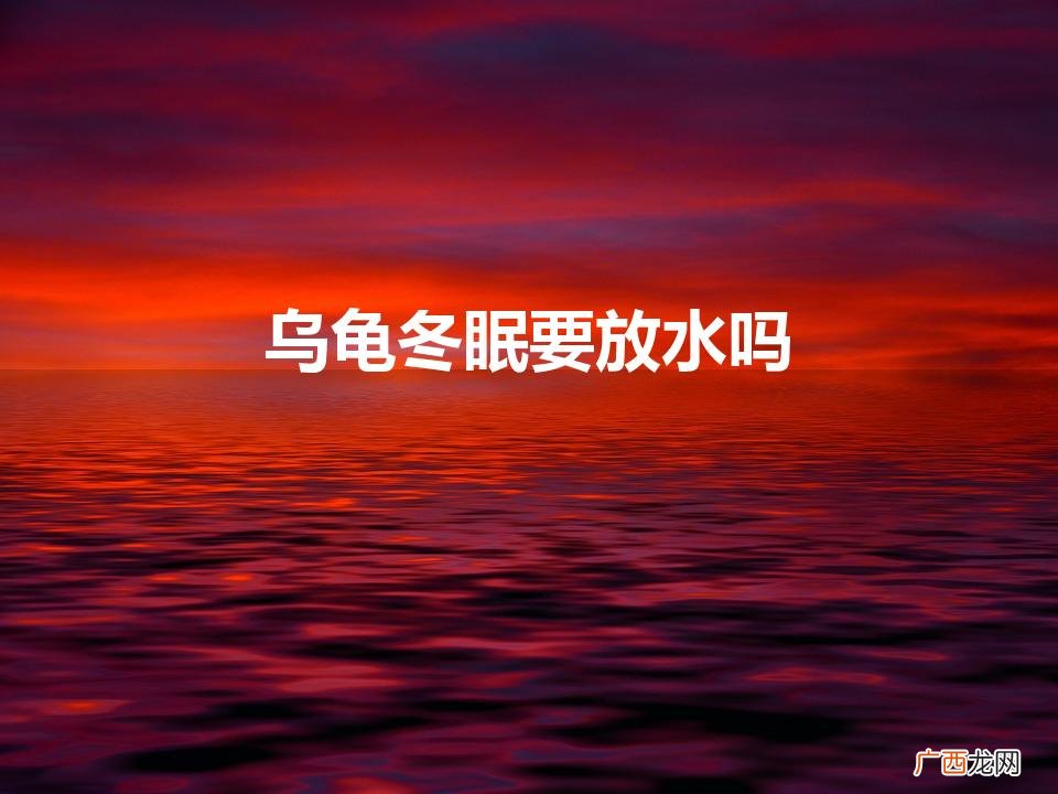 乌龟冬眠要放水吗（乌龟冬眠要放水吗?乌龟冬眠后不吃东西怎么办)