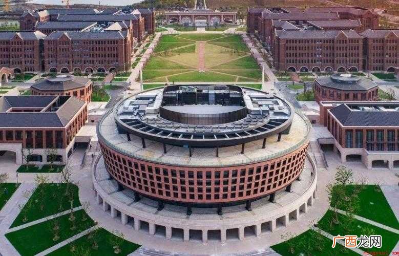 野鸡大学主要特征是什么