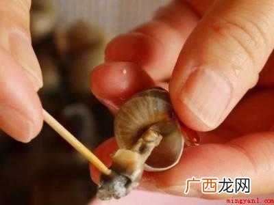 螺蛳怎么吃到肉