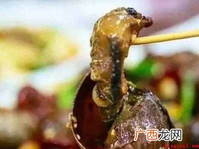 螺蛳怎么吃到肉