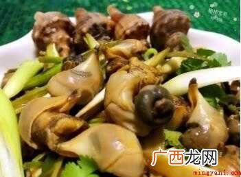 大海螺怎样做