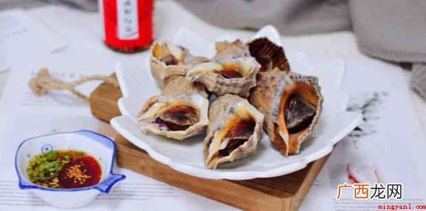 大海螺怎样做