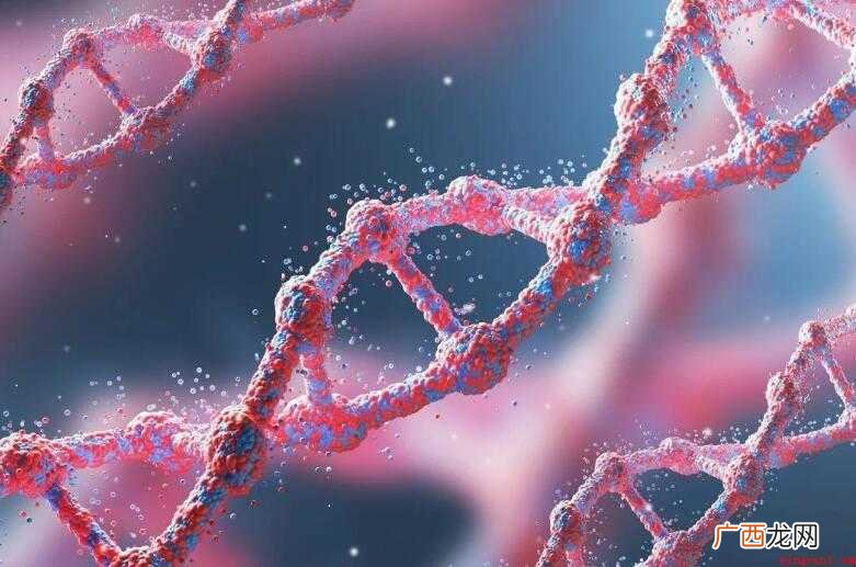 初中生物知识点总结梳理 初中生物学习方法总结是什么