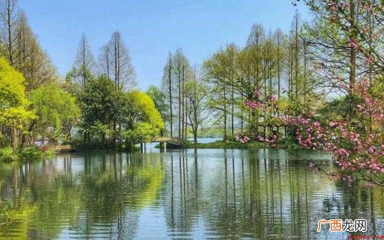 柳浪闻莺是哪里的景点介绍 柳浪闻莺是哪里的景点