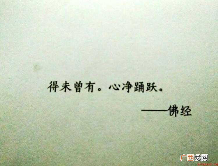 踊跃的意思是什么