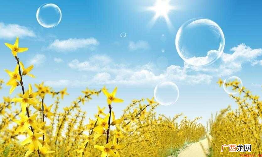 灿烂是一个汉语词语,形容光彩鲜明夺目,还可以形容色彩灿烂,光