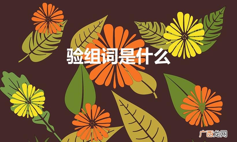 验的组词 验怎么组词 验组词是什么