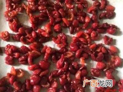 樱桃干的做法