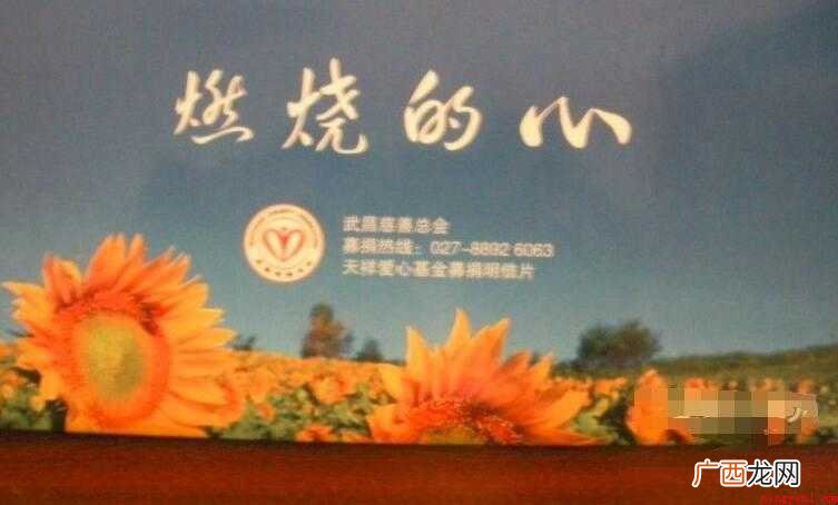 《燃烧的心》读后感范文 《燃烧的心》读后感怎么写