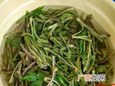 香椿芽怎么吃法