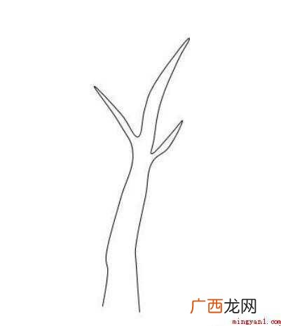 柳树简笔画怎么画