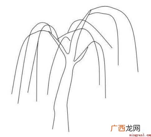 柳树简笔画怎么画