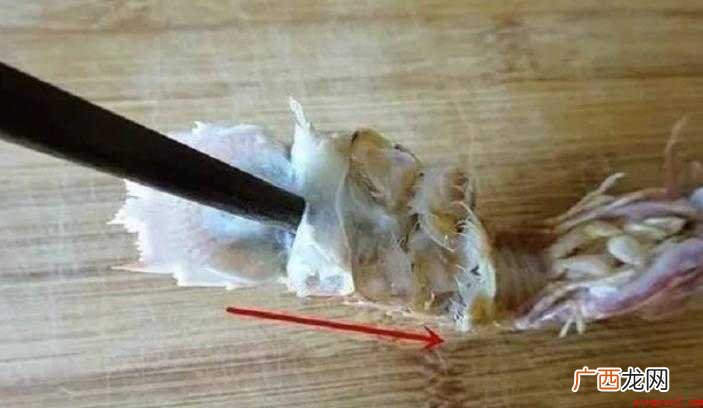皮皮虾怎么快速剥皮