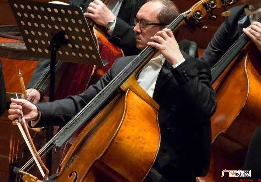 低音提琴特色有哪些