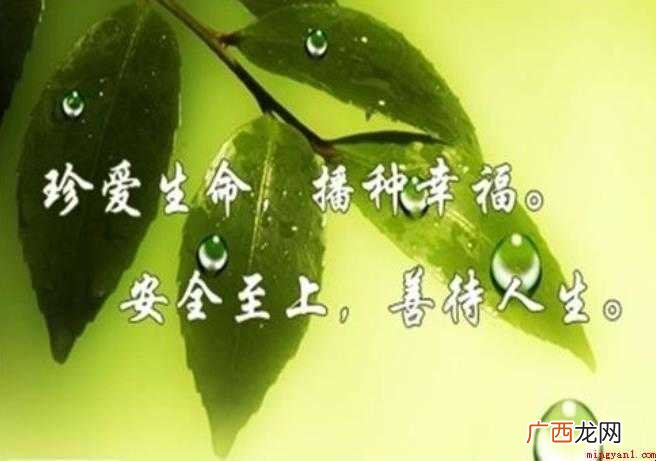 关于珍惜生命的句子有哪些