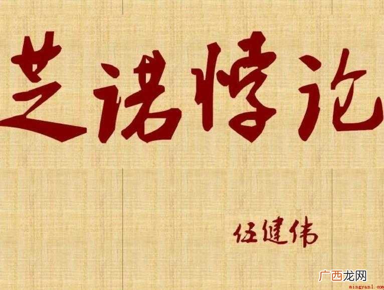 芝诺悖论的悖论学说是什么