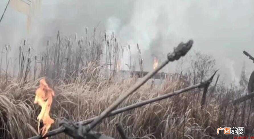 兵荒马乱的造句有哪些