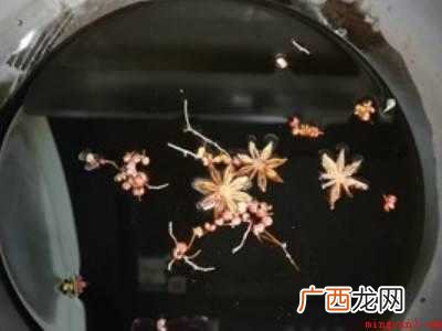 怎么腌蒜苔好吃不坏