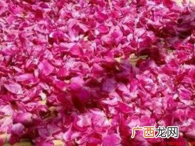 玫瑰花瓣怎么保存成干花瓣