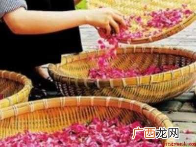 玫瑰花瓣怎么保存成干花瓣