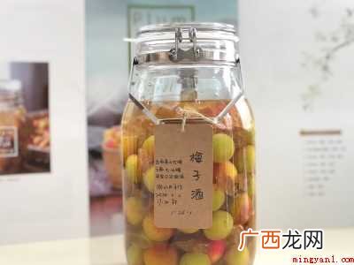 怎样泡梅子酒