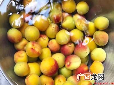 怎样泡梅子酒
