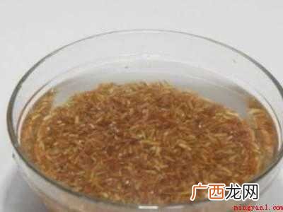用电饭煲怎么做红米饭