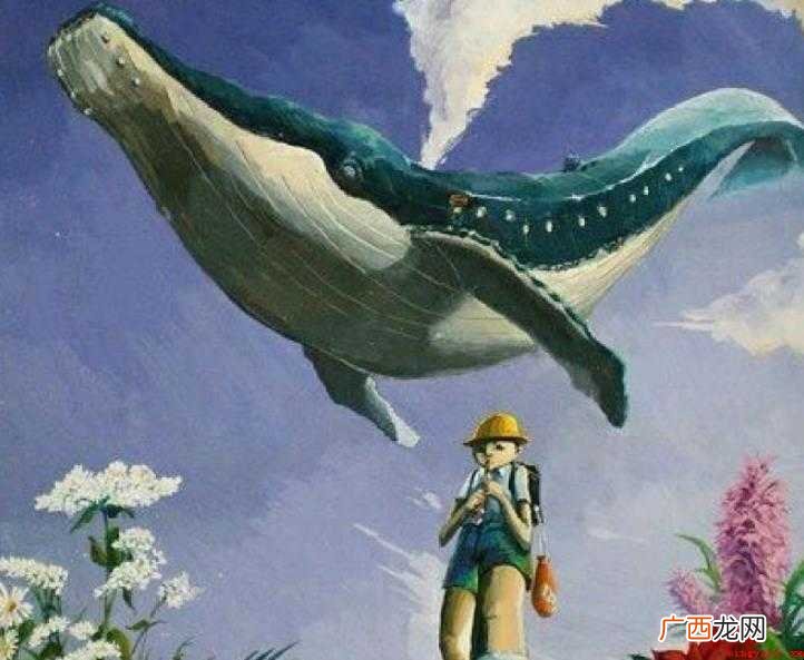 《孤岛之鲸》内容讲的是什么