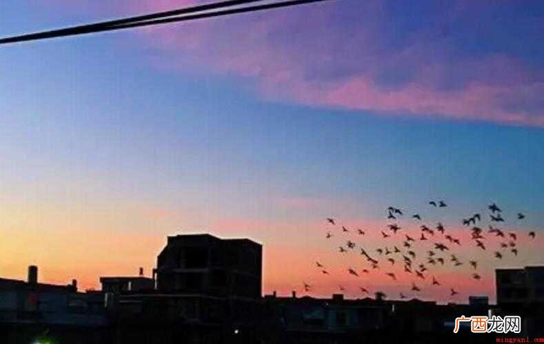 关于夜不闭户有哪些造句 夜不闭户有哪些造句