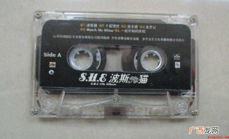 《波斯猫》的歌词是什么