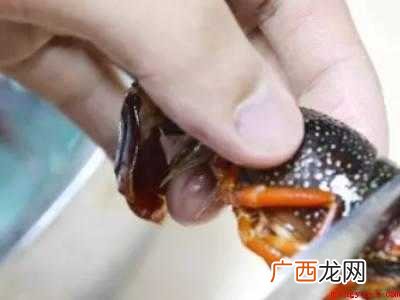 怎么清理小龙虾