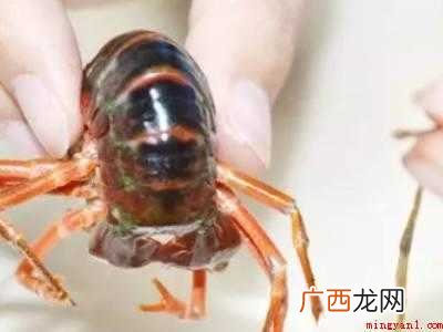 怎么清理小龙虾