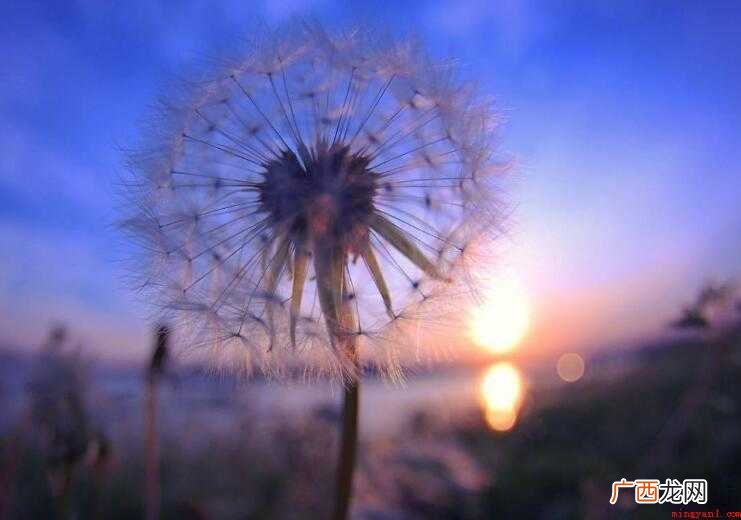 事过境迁有哪些造句