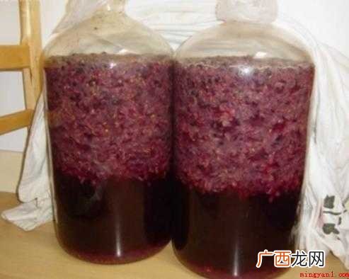 怎么自制葡萄酒