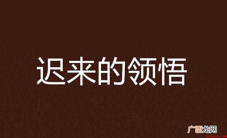 领悟的意思是什么