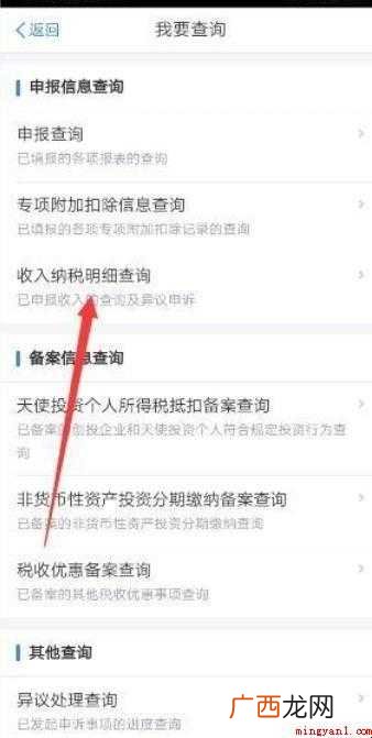 如何查询缴纳个人所得税的明细情况