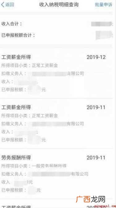 如何查询缴纳个人所得税的明细情况