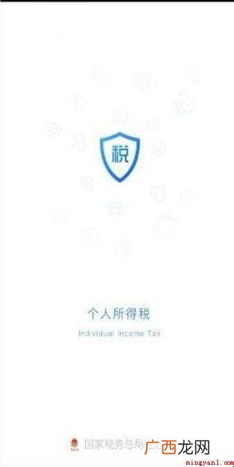 如何查询缴纳个人所得税的明细情况
