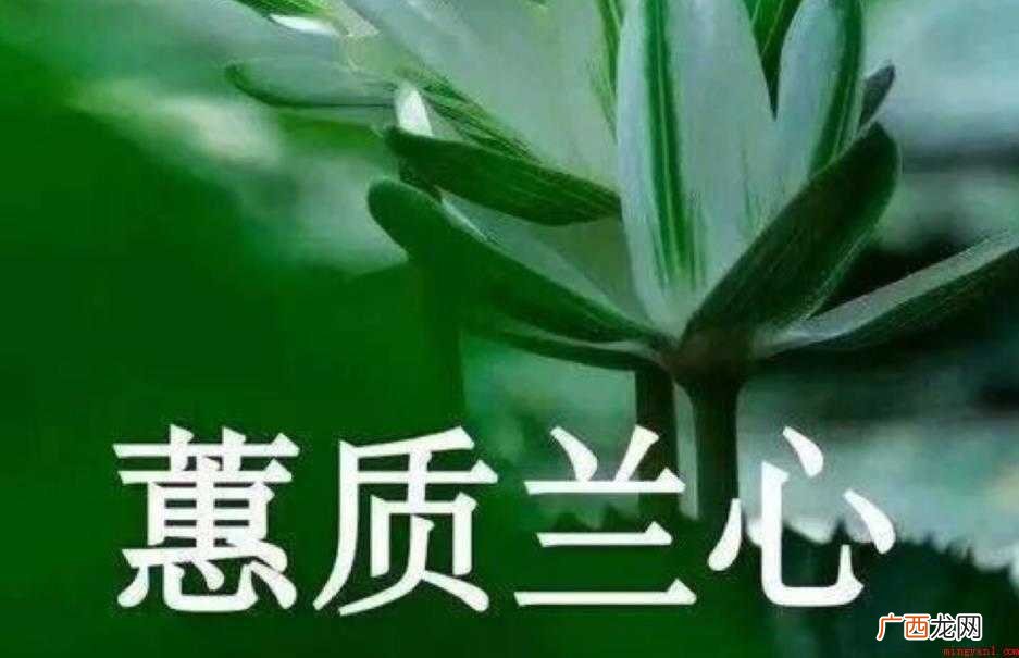 蕙心兰质,汉语成语,拼音 蕙质兰心出自哪里