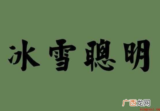 送樊二十三侍御赴汉中判官 冰雪聪明是什么意思 冰雪聪明是什么意思