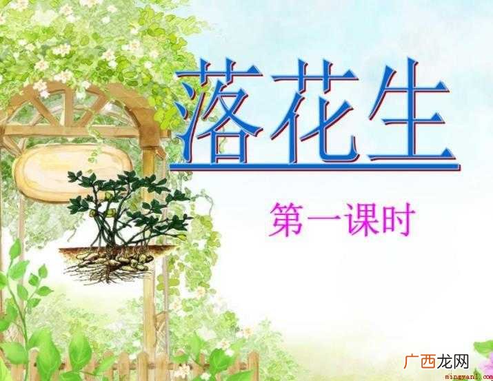 《落花生》课文学习目标是什么
