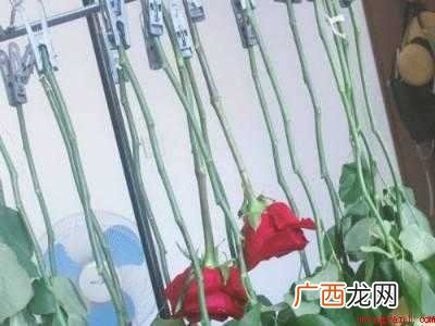 晒干花的做法