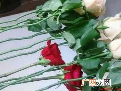 晒干花的做法