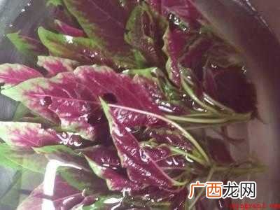 苋菜怎么处理干净
