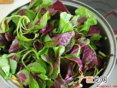 苋菜怎么处理干净