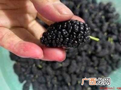 家庭自制桑葚膏的操作步骤 家庭自制桑葚膏的方法