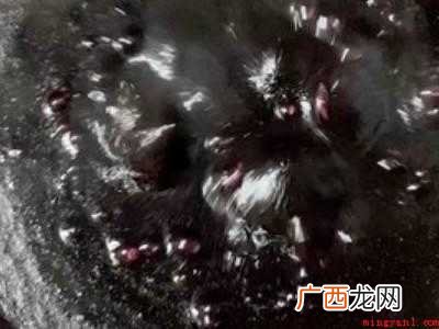 家庭自制桑葚膏的操作步骤 家庭自制桑葚膏的方法