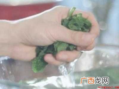薄荷叶怎么晒干
